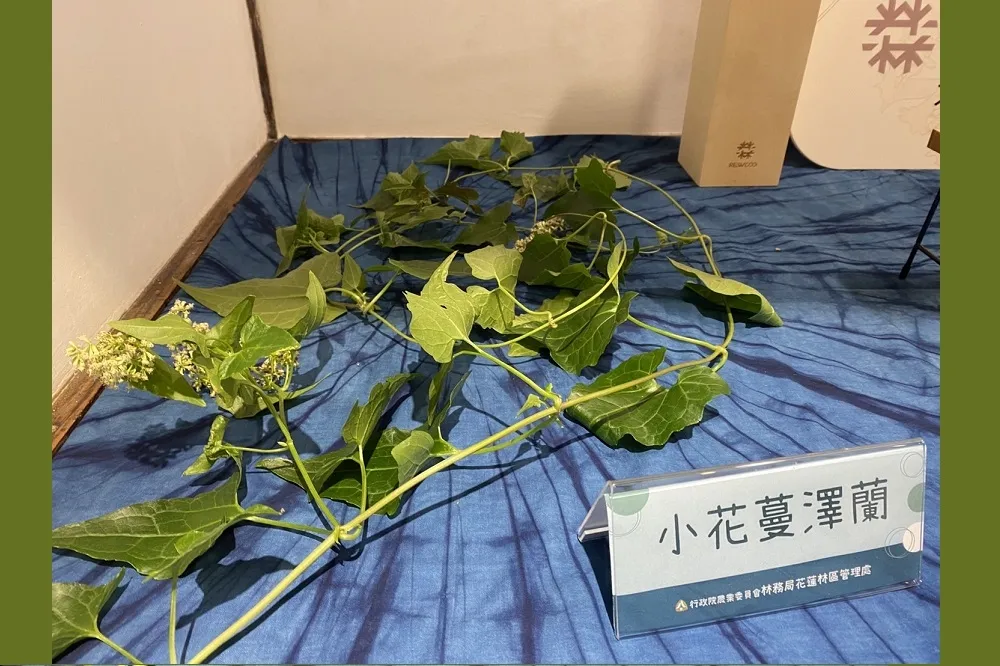 浪「蔓」有禮！花蓮林管處將生態殺手變身新春好禮