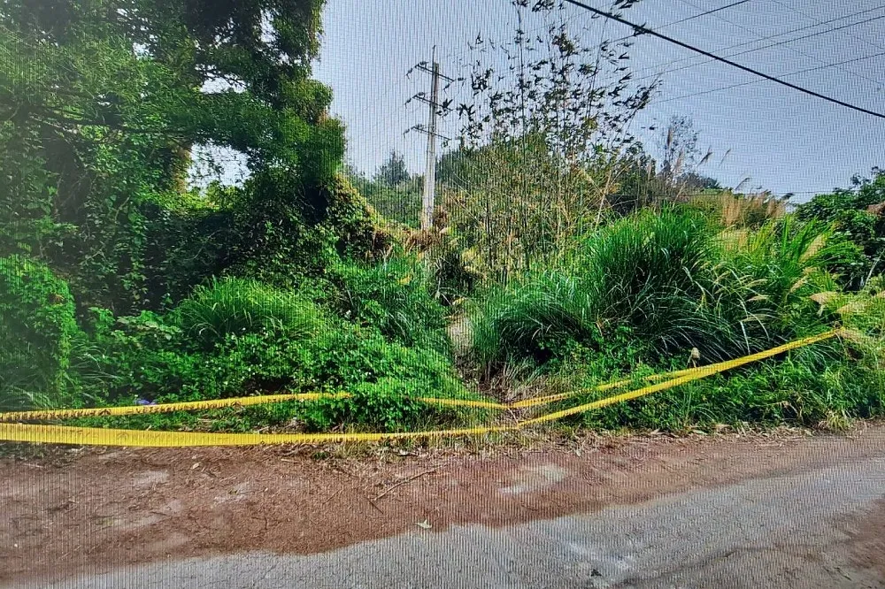 詐騙集團黑吃黑、為60萬殺人埋屍　警方搜山「想尿尿」驚見遺體