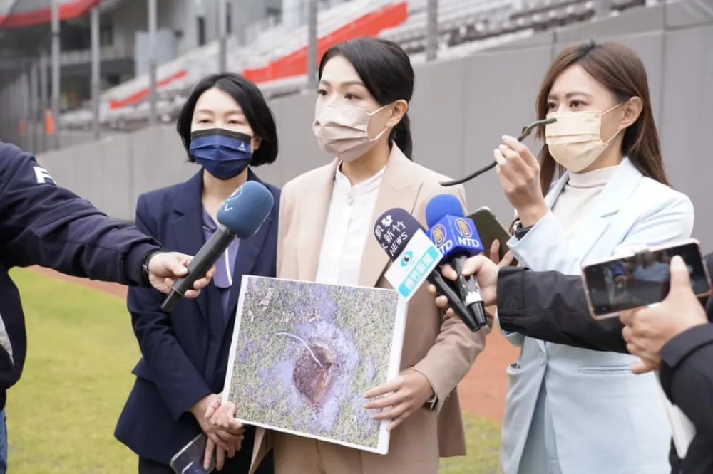 陳嘉宏專欄：高虹安的起手式　民進黨無法等閒視之