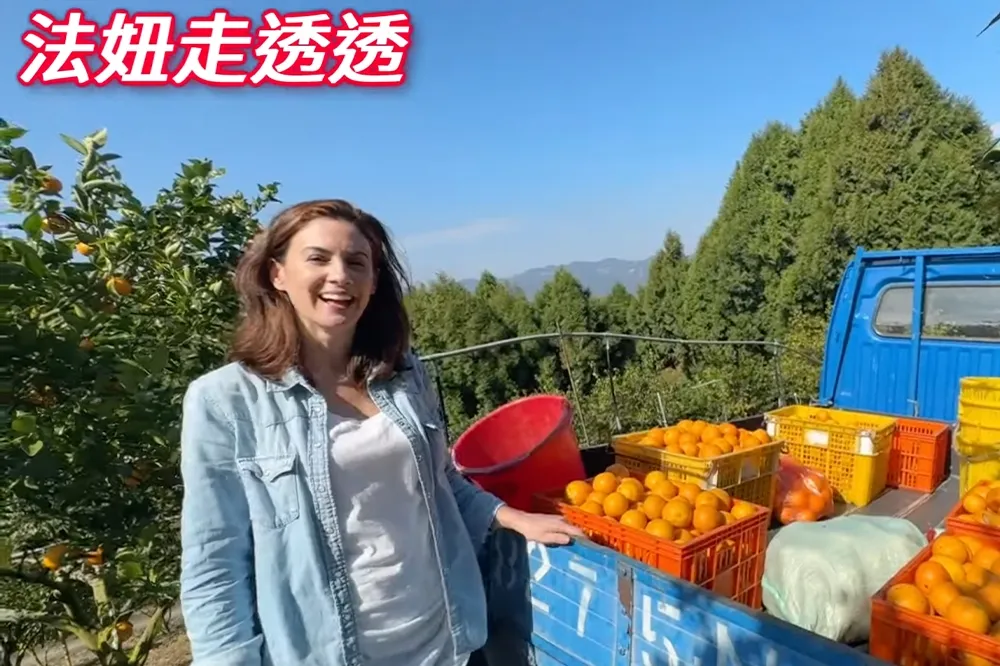 【吃貨片】法國妞到台灣果園採橘子　邊採邊吃邊讚嘆：真的是水果王國！