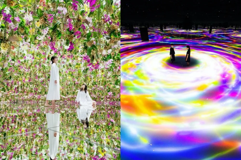 【日本景點直擊】東京豐洲 teamLab 攻略！絕美水晶宇宙、漂浮蘭花仙境網美必拍