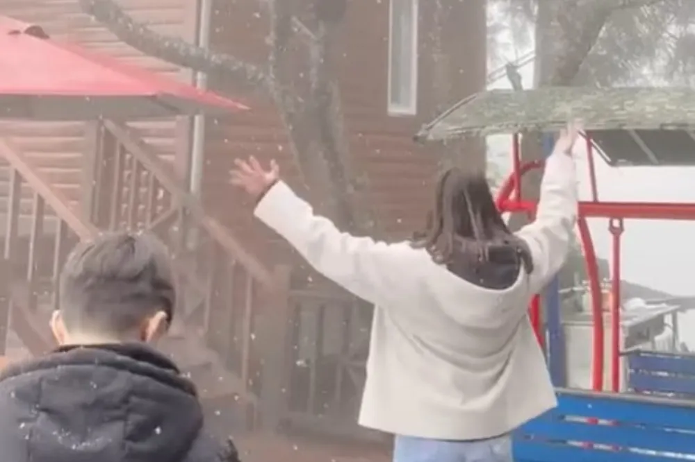 寒流發威！太平山霧凇染白山頭　拉拉山也飄雪了