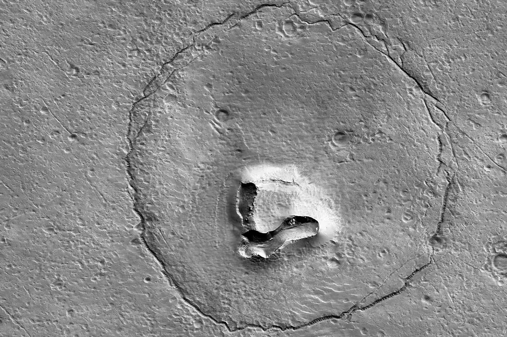 NASA發布最新照片　火星上有熊？