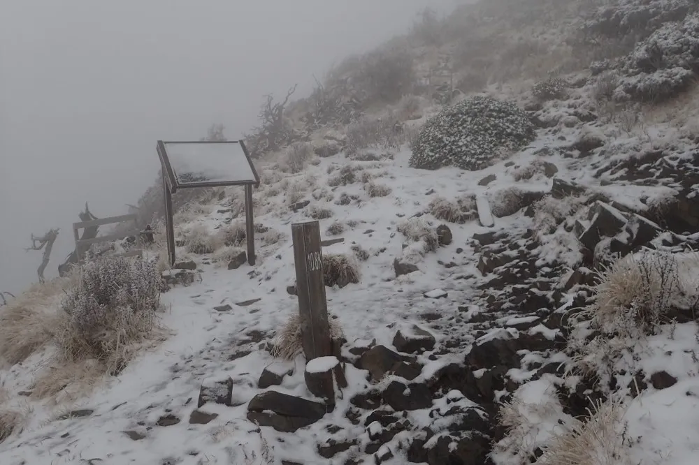 雪山降雪了！銀白世界猶如仙境　網友讚：終於等到啦