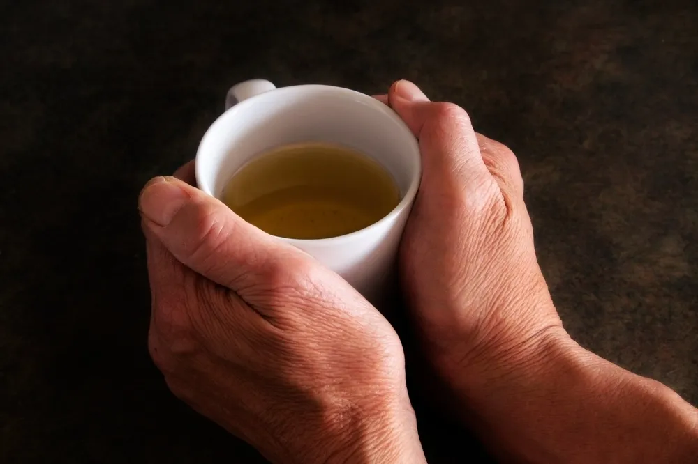 宋朝製茶文獻百百款　但其實他們喝的茶只有一種？