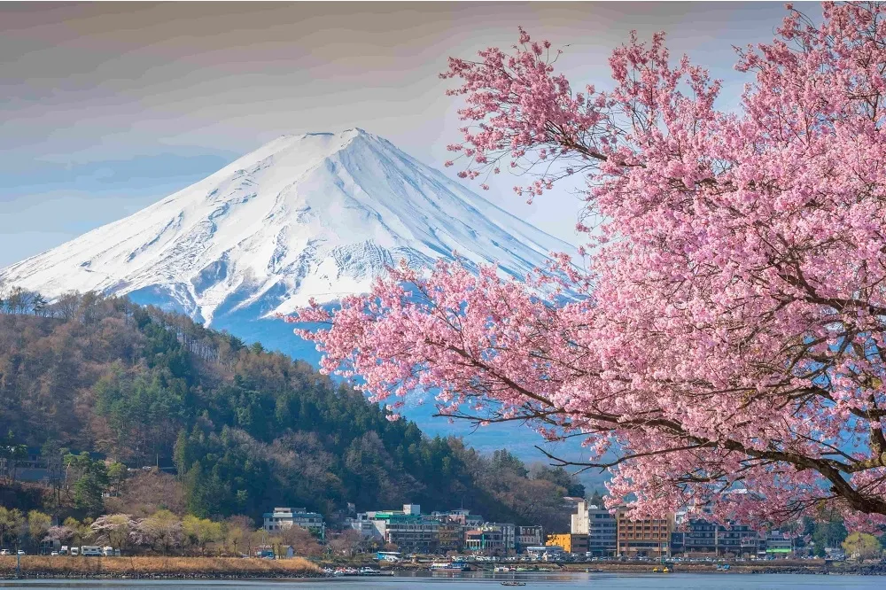 這樣旅行輕鬆多了！全國首創「機票月繳制」　易飛網攜手中信銀推「12期無壓出遊」