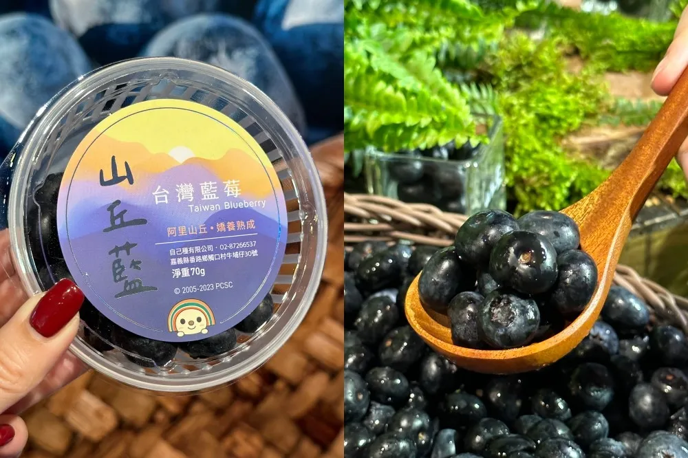 台灣藍莓「山丘藍」正式上市！阿里山產地新鮮直送 7-11 就買得到
