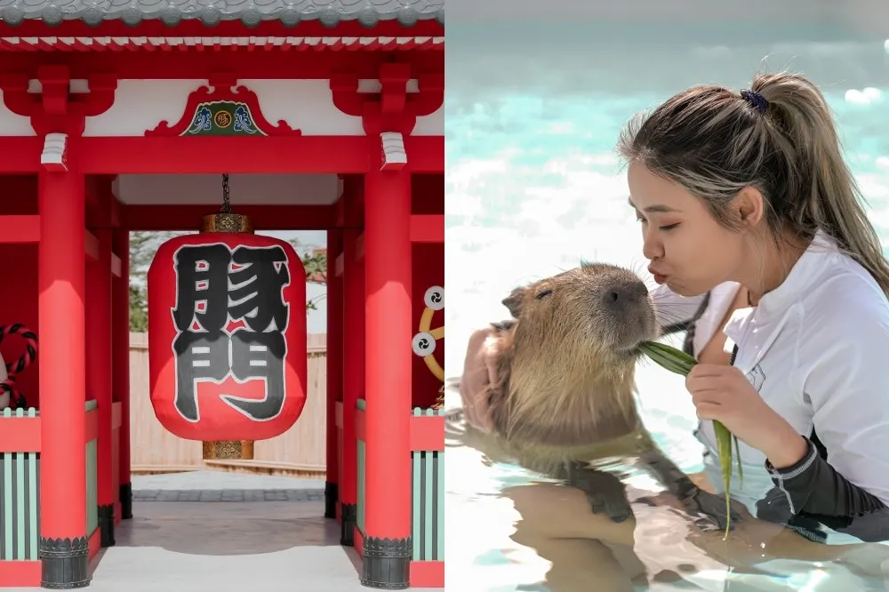 屏東「鹿ㄦ島」水豚生態園區試營運！體驗全台唯一「水豚共游」　美拍日式造景偽出國