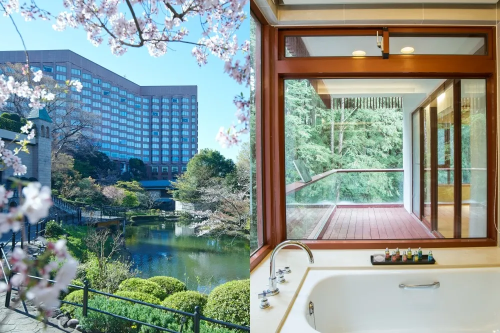 6 間賞櫻旅宿推薦！「清境珂之幄山莊」歐風房絕美、東京百年日式庭園內賞夜櫻