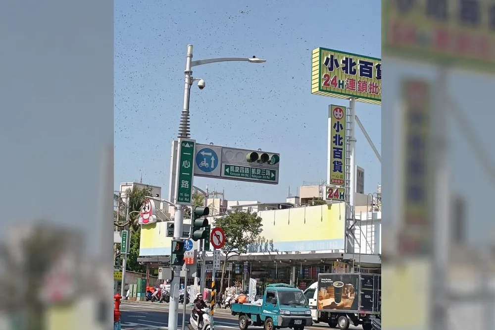 外送員等紅綠燈抬頭一片霧茫茫　上萬隻蜜蜂盤旋、手腕被螫傷