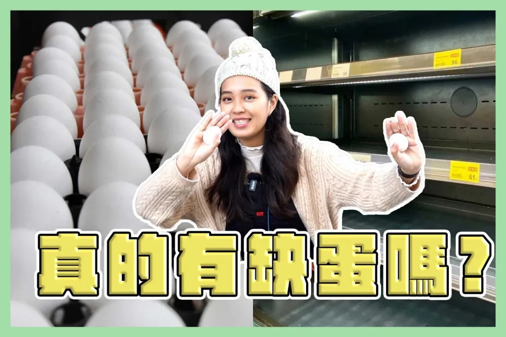 【上報升堂】真的有「蛋蛋危機」？雙北、桃園差很大？　直擊賣場貨架蛋況