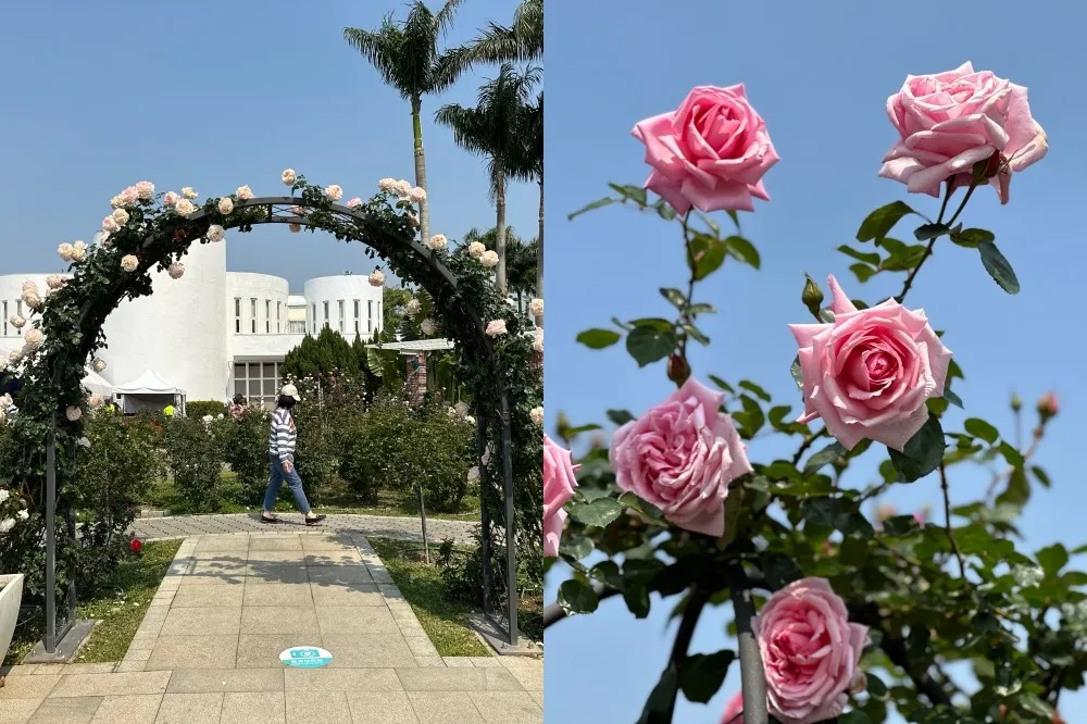 【有片】2023 台北玫瑰展浪漫開跑！必拍絕美「玫瑰花拱門」　夢幻花海美到 3 月底