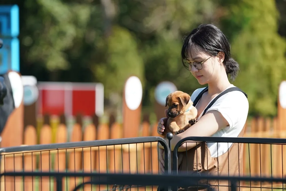 魏蔓參加寵物實境節目《TOP DOG回家》被療癒　曝愛犬離世心情：大哭幾次都沒用