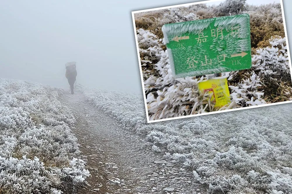 白色情人節冷氣團發威　「天使眼淚」嘉明湖步道一片雪白超美