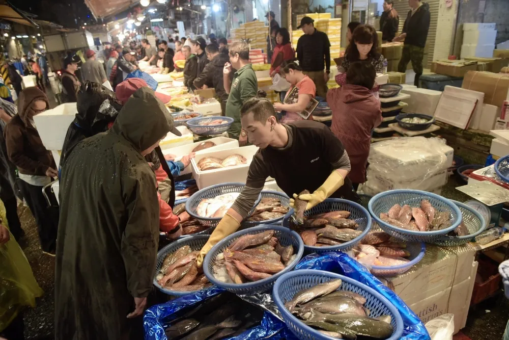 禁輸中國半年解除　國台辦：今起恢復台灣白帶魚和凍竹筴魚進口