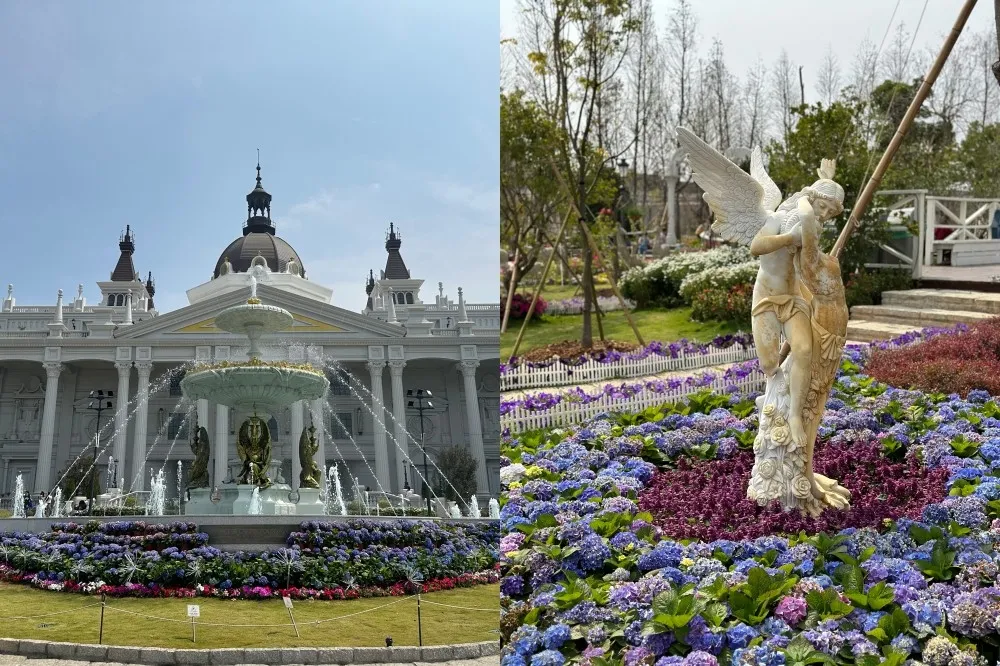 【有片】佐登妮絲城堡「千株繡球花」浪漫綻放！歐風花園紫色花海一路美至 4 月底