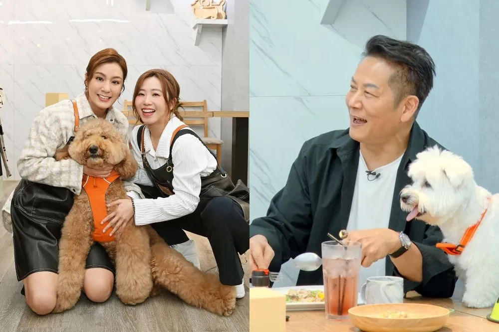 徐乃麟作客《哈囉！毛小孩》秒揭餐點問題　許富凱、莎莎直呼：壓力好大