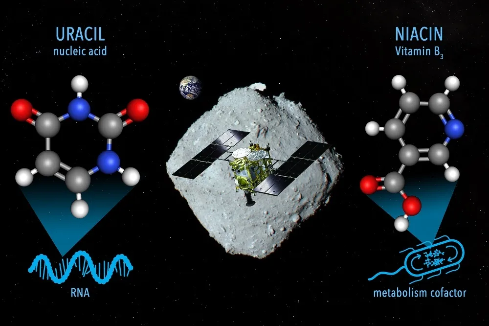 近地小行星發現維生素B3　地球生命源頭可能來自太空