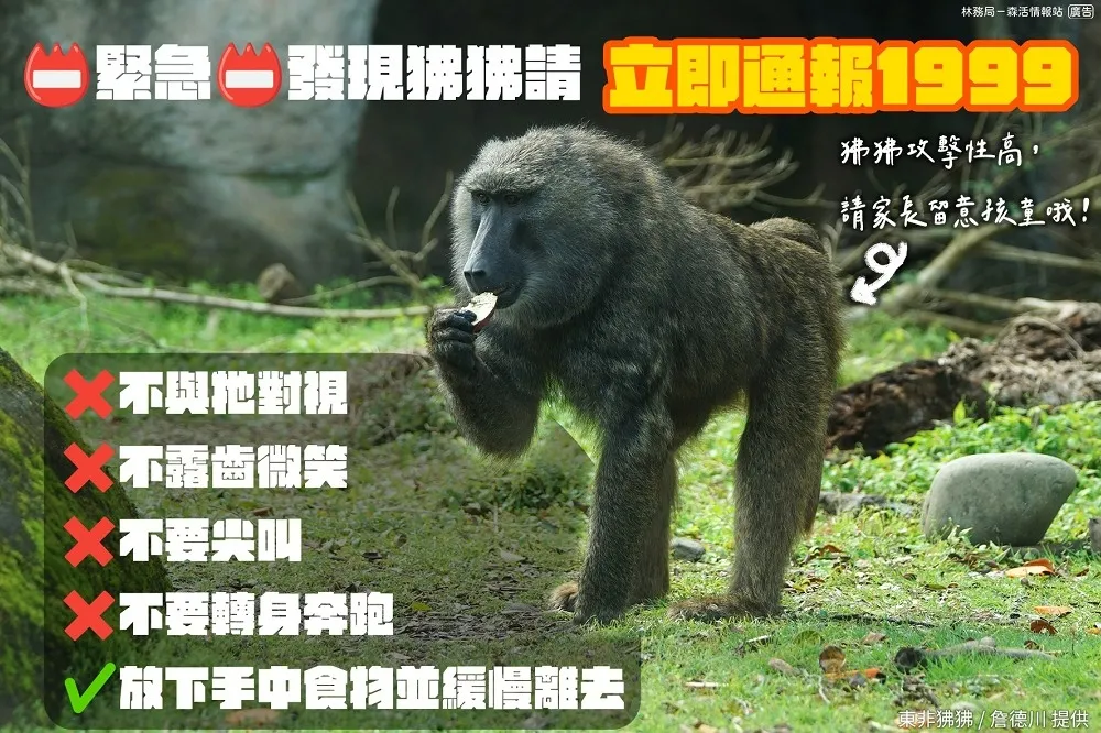 用來罵人也不行！女在臉書諷表妹像「狒狒」　判決出爐慘了