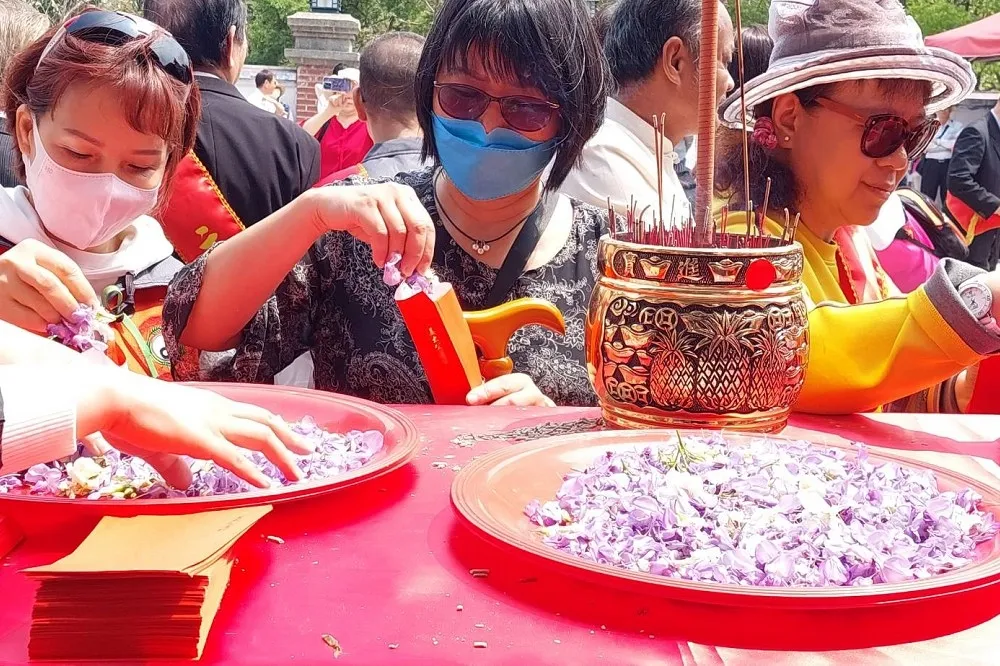 桐花來囉！苗栗賞桐聖地　敲鑼宣告桐花季正式開跑