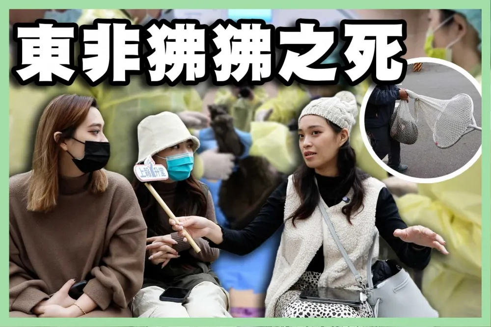 【上報升堂】狒狒之死！六福村道歉你接受？　立委賴品妤轟追捕過程「非常荒謬」　