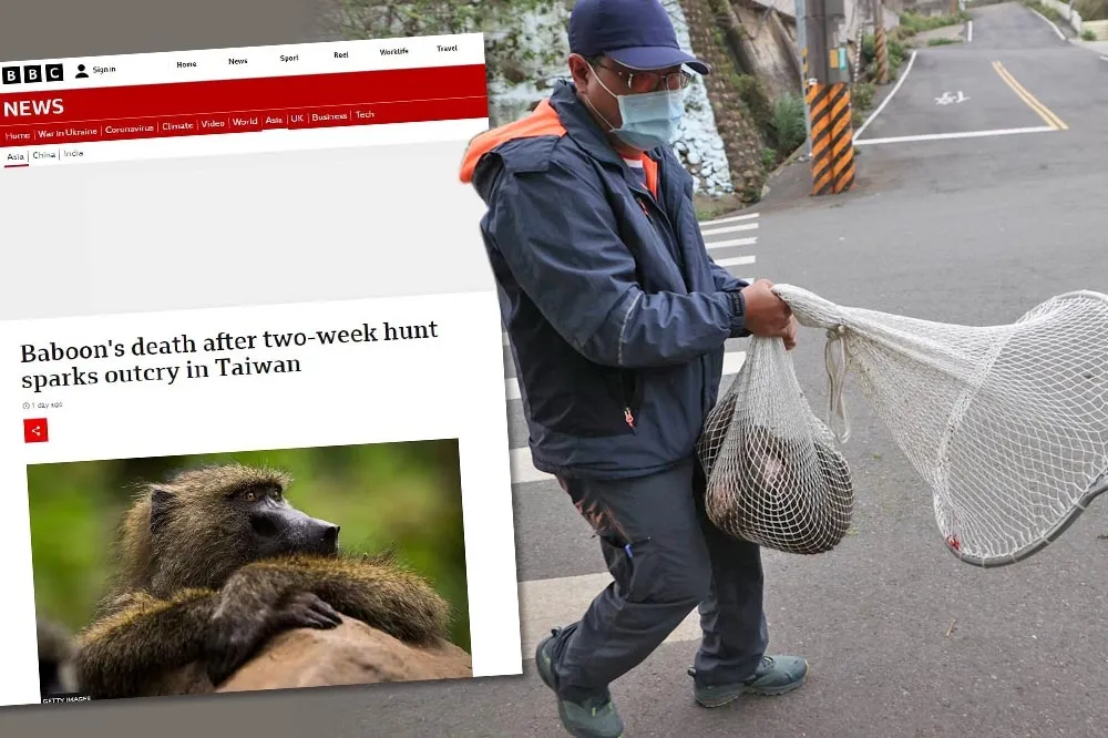 東非狒狒之死登上《BBC》、《韓聯社》　PTT鄉民喊「讓世界看見台灣狒」