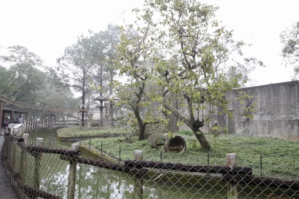 園內狒狒超過250隻？員工爆「沒在清點」　六福村：等清查確認   