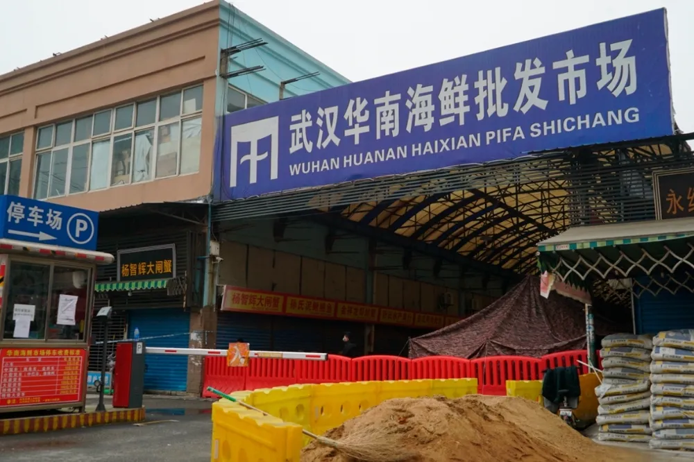 施文儀：武肺失控促成人類翻轉災難的貢獻