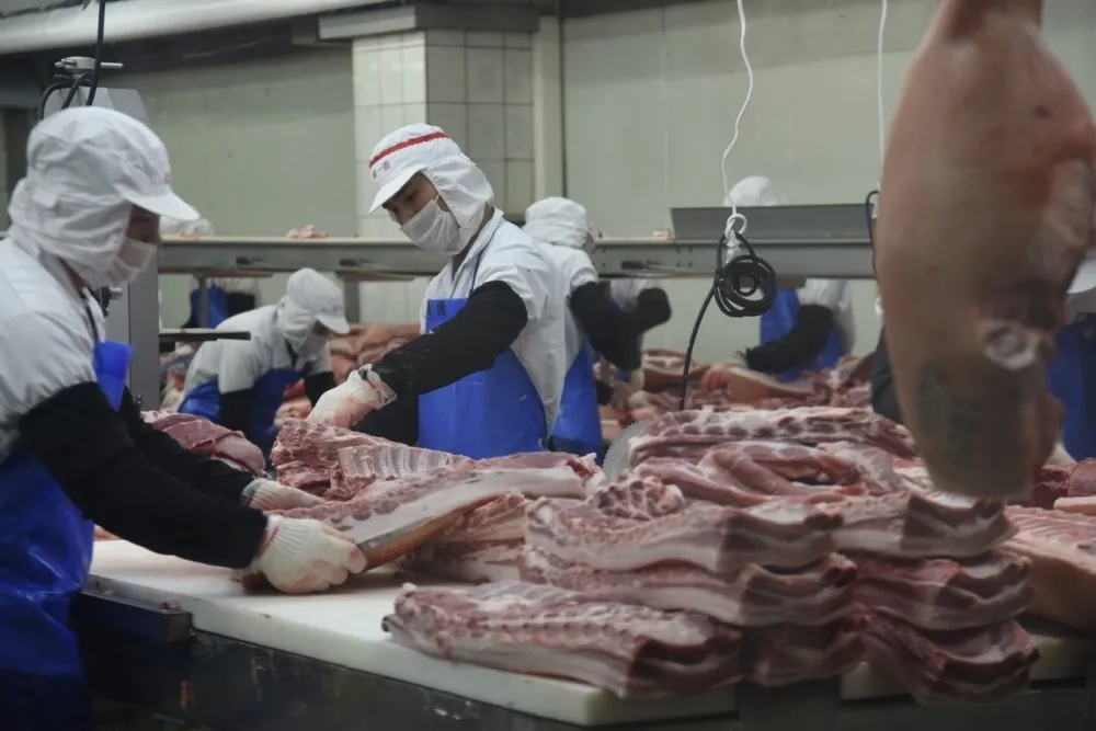 豬肉價格上漲　農委會將專案進口3000噸歐洲豬肉