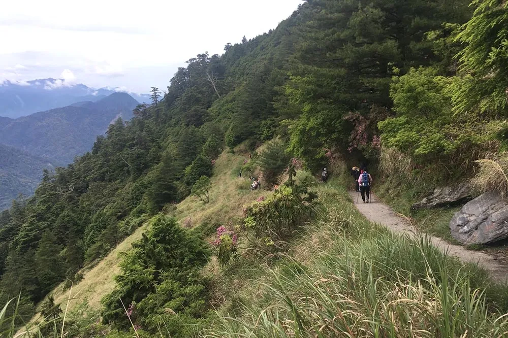 能高安東軍山難！領隊失溫身亡　美籍女隊員失聯搜救中