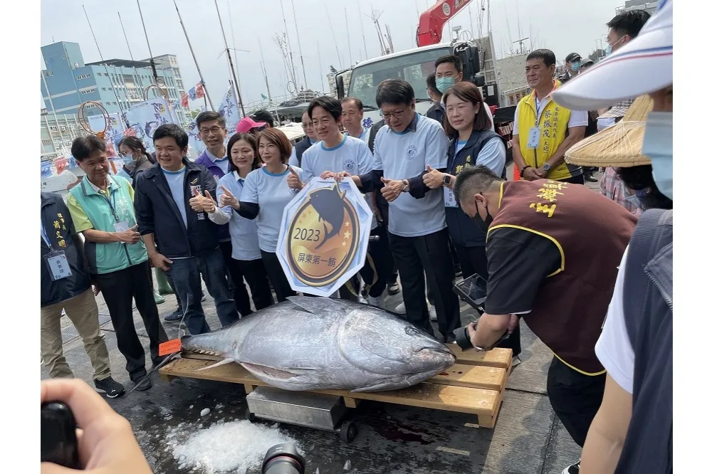 台灣第一鮪　金門澎湖吃得到　金湖飯店及澎澄飯店　首次推出期間限定黑鮪魚料理