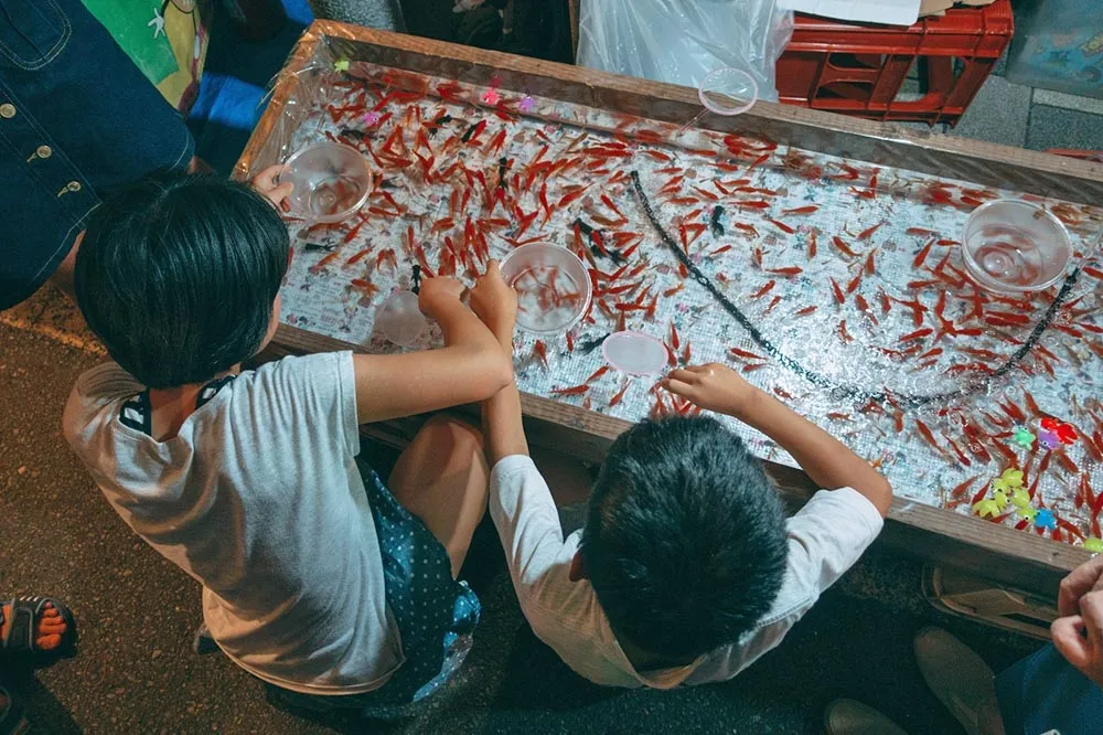 《動保法》禁夜市撈金魚引反彈　農委會急轉彎：優先禁天竺鼠和兔子
