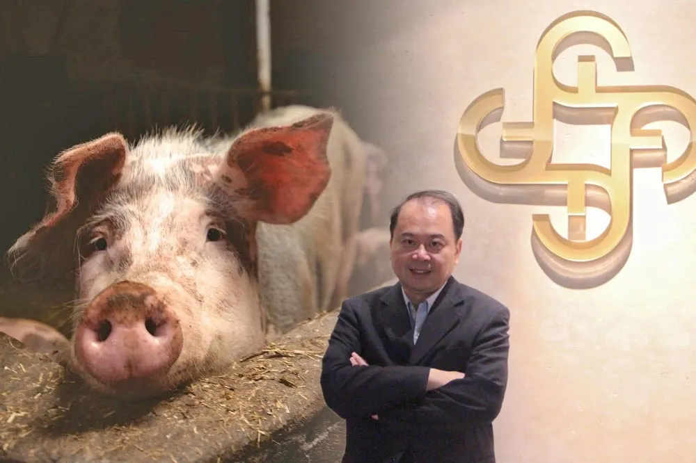 中租前營運長謝明宏不只鹹豬手　傳「彰化太陽能電死傷百隻豬」也出自他手
