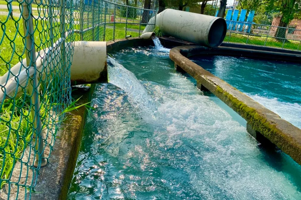 高雄長達600天沒下雨　水利局：供水情況至5月底無虞