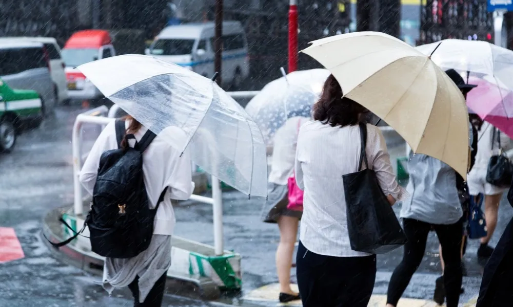 投書：凍卵政策為女性提供關懷與支持