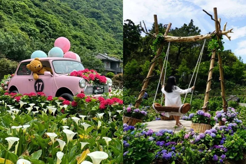 【2023 陽明山繡球花季】14 間賞花農園一次看！名陽匍「粉紅汽車」、大梯田「透明玻璃屋」絕美必拍