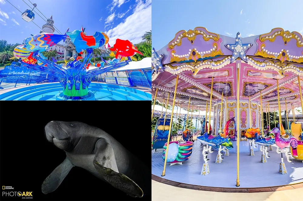 斥資 3 億改造！花蓮遠雄海洋公園「5 大遊樂設施」新增確定　暑假限定「沈浸式海盜船、電音水派對」一張票玩兩天