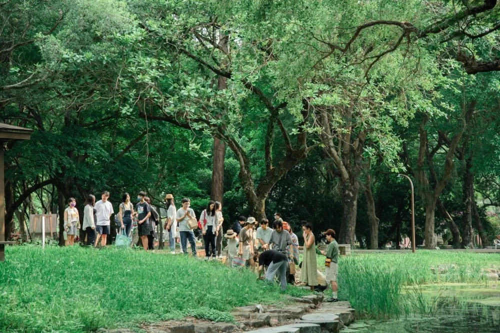 走入百年嘉義樹木園！「城市公園野草學」特展至 6/25 止　勾勒野草搖曳的生態風景