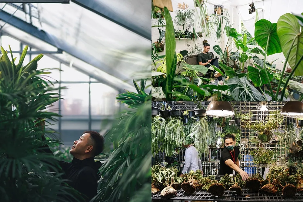 【攤位圖】台中植物市集「台灣第一植物界：花見植狩」週末 2 天登場！80 間植感品牌一次逛