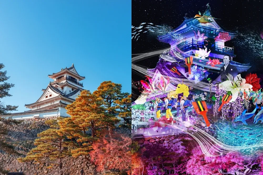 燦星攜手虎航續推「高知秋冬包機」！賞楓、泡湯、點燈祭 4 大行程搶先曝