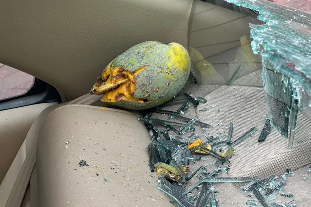 台中芒果好硬！路邊停車遭砸爆車窗　行人也被打中哀嚎不停