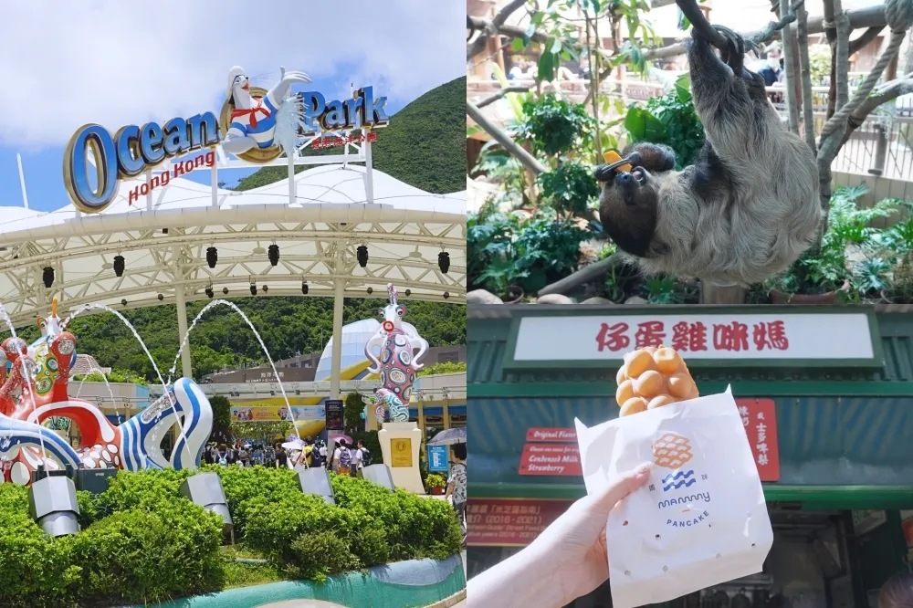 香港海洋公園新園區「樹懶與好朋友」開箱！順嚐媽咪雞蛋仔、金茶王港奶