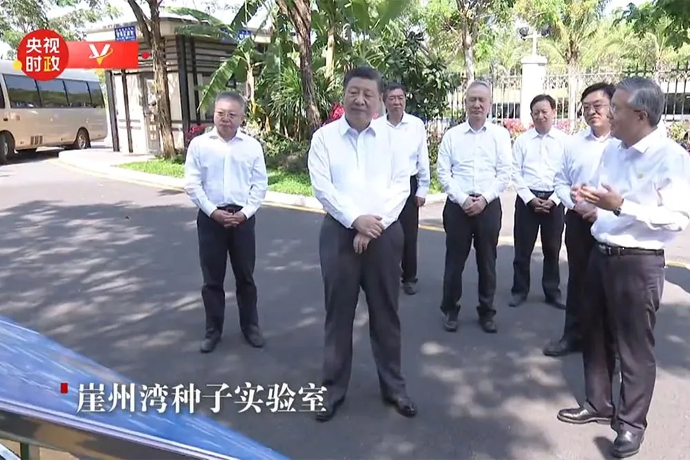重要性不亞於晶片　習近平瞄準糧農反腐確保糧食安全