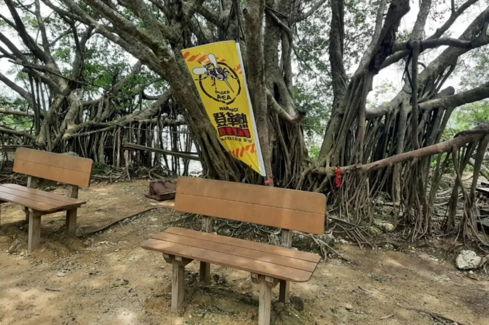 高雄登革熱新增2例　足跡曾到壽山國家自然公園步道、雲林古坑