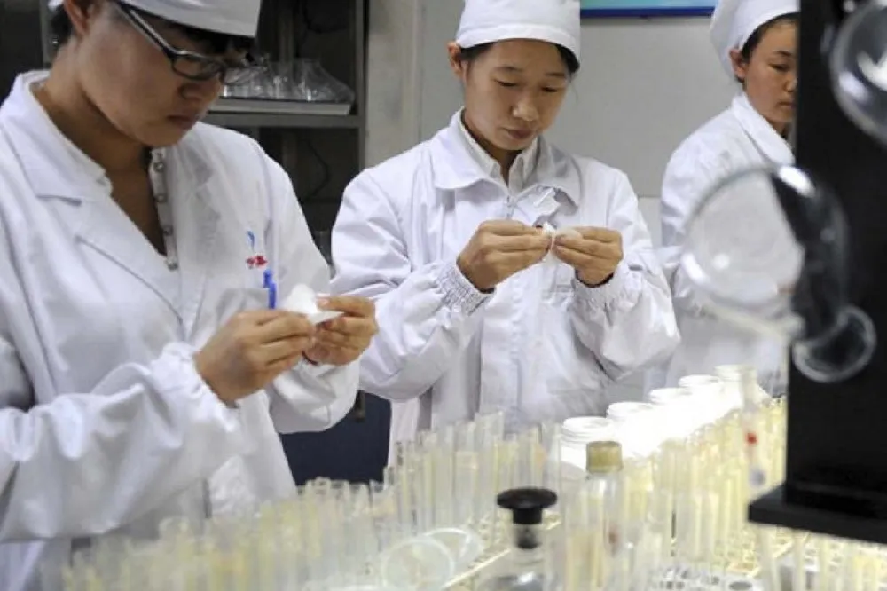 重金投入科研卻零產出　大學審計報告揭露中國科技自主困境