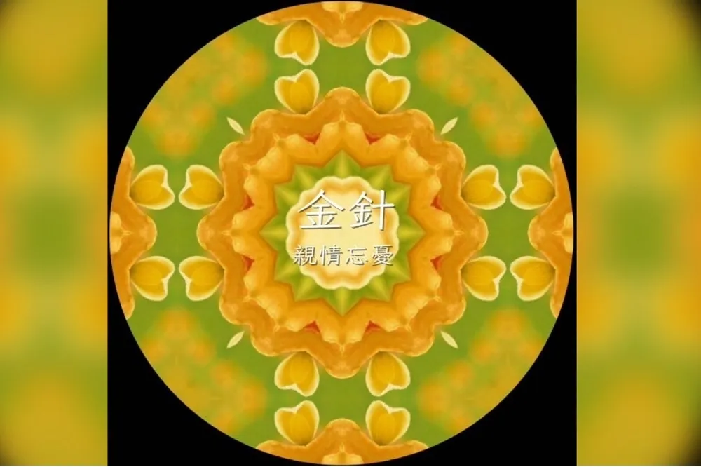 花蓮限定！把花「種」進時鐘裡　「花TIME」四季花卉來報時