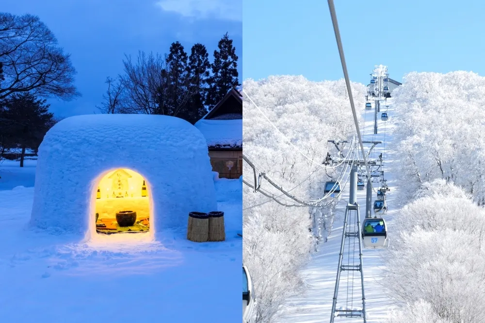 虎航直飛日本秋田 12 月開航！燦星獨家包機「體驗橫手雪屋、泡東北溫泉」