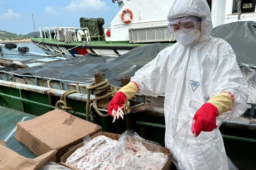 馬祖海巡緝獲陸船走私　查獲56袋狂牛病區畜產品
