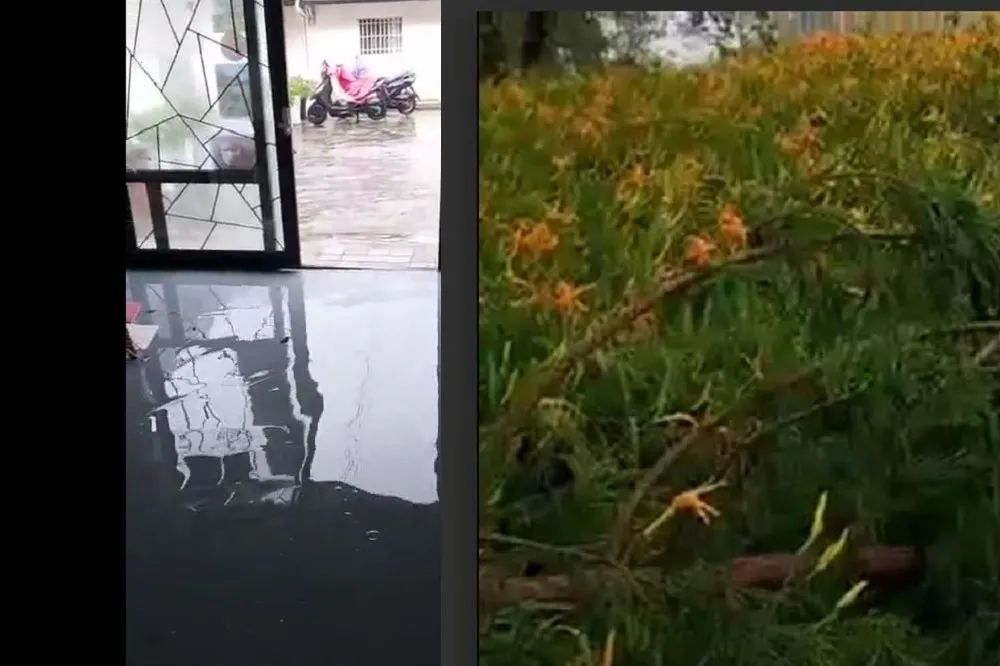 【海葵襲台】花蓮赤科山金針花產季受損　道路中斷淹水、近百人受困停電