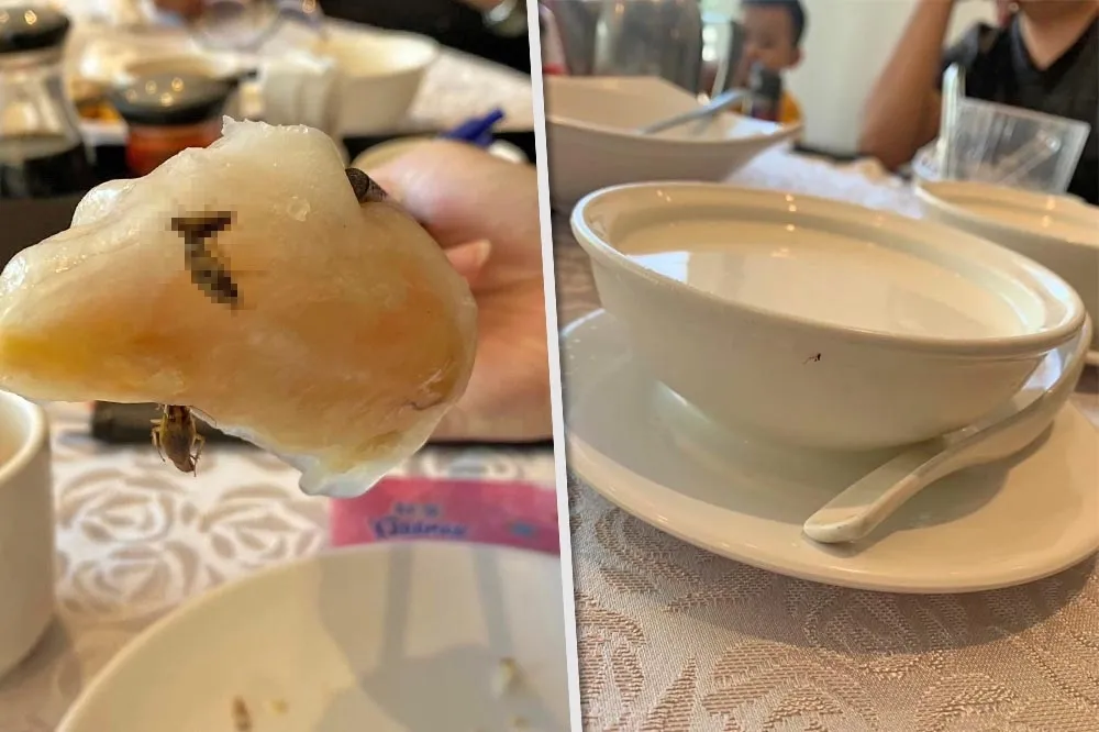 超噁！網友控港式飲茶吃到「蟑螂大餐」　北市稽查發現4大缺失